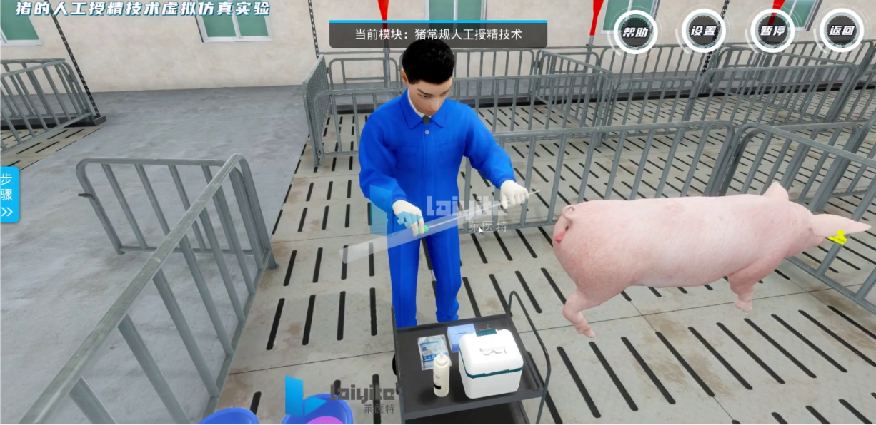 猪常规输精与深部输精仿真实训系统