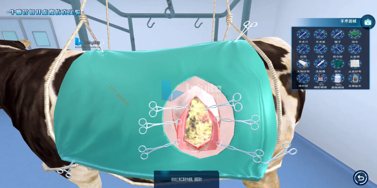 牛/羊瘤胃切开规范化操作仿真实训系统