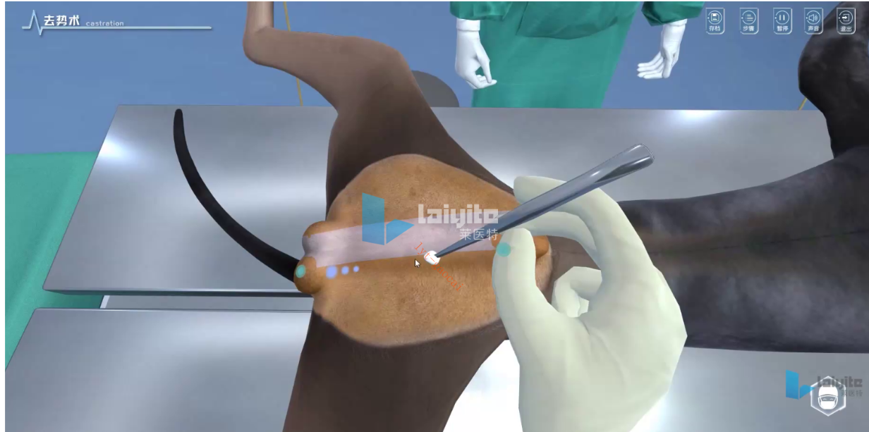 公犬/公猫去势术仿真实训系统