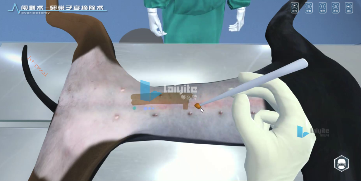 母犬/母猫卵巢子宫摘除术仿真实训系统