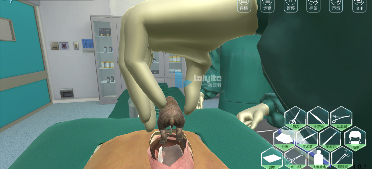 犬剖腹产技能实训系统