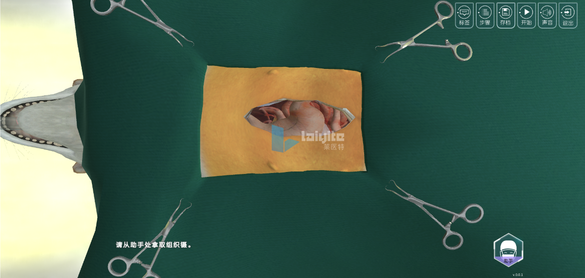 犬胃切开技能实训系统