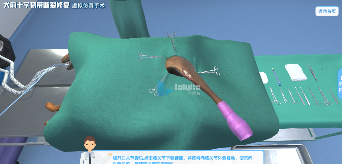 以犬为例的十字韧带断裂修复术仿真实训系统