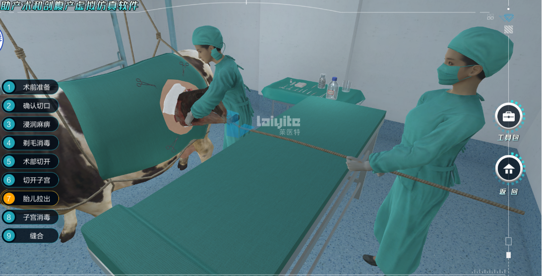 牛助产与剖腹产技能实训系统