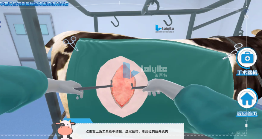 牛皱胃左方变位整复术仿真实训系统