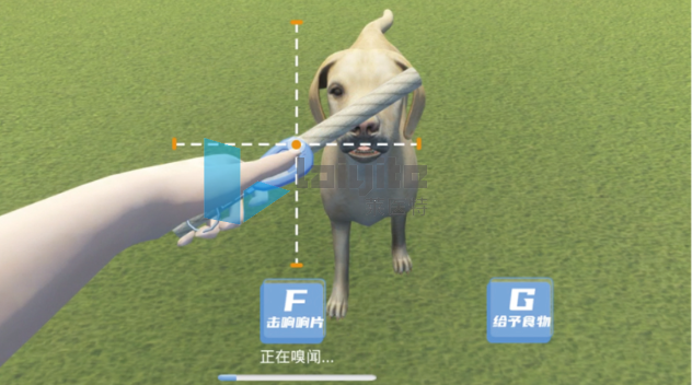 犬驯导技能实训系统