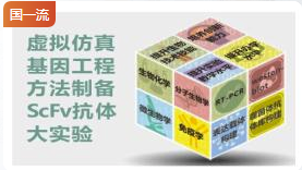 浙江理工大学虚拟仿真基因工程方法制备ScFv抗体大实验