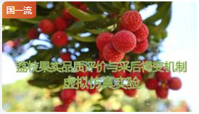 华南农业大学荔枝果实品质评价与采后褐变机制虚拟仿真实验