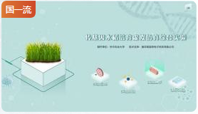 华中农业大学转基因水稻培育虚拟仿真综合实验
