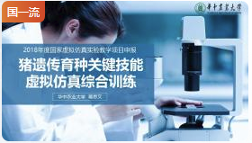 华中农业大学猪遗传育种关键技能虚拟仿真综合训练