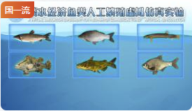华中农业大学淡水经济鱼类人工繁殖虚拟仿真实验