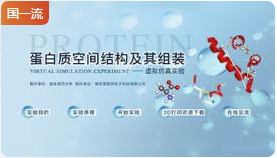 曲阜师范大学蛋白质空间结构及其组装虚拟仿真实验
