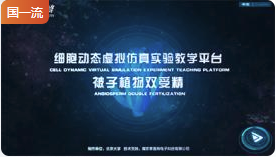北京大学细胞动态虚拟仿真实验教学平台——被子植物双受精