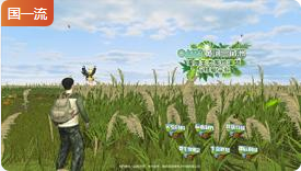 山东大学黄河三角洲湿地生态系统演替与修复实验