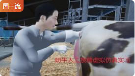 东北农业大学奶牛人工授精虚拟仿真实习