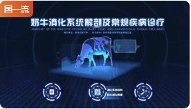 南京农业大学奶牛消化系统解剖及相关疾病诊疗