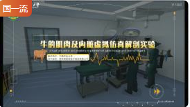 江西农业大学牛的肌肉及内脏虚拟仿真解剖实验