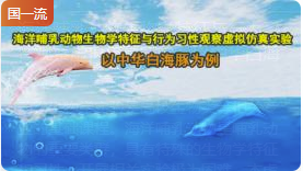 暨南大学海洋哺乳类生物学特征与行为习性观察虚拟仿真实验：以中华白海豚为例