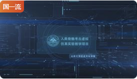 山东大学人类骨骼考古虚拟仿真实验教学