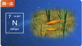 浙江大学基于稳定性同位素技术的生态系统氮素运转虚拟仿真实验