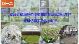陕西师范大学秦岭珍稀濒危药用植物保育及规范化生产虚拟仿真软件