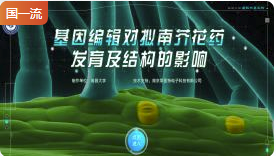 南昌大学基因编辑对拟南芥花药发育及结构的影响