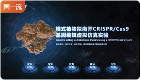 浙江大学模式植物拟南芥CRISPR/Cas9基因编辑虚拟仿真实验