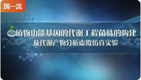 安徽农业大学植物功能基因的代谢工程菌株的构建及代谢产物分析虚拟仿真实验