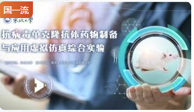 东北大学抗病毒单克隆抗体药物制备与应用虚拟仿真综合实验