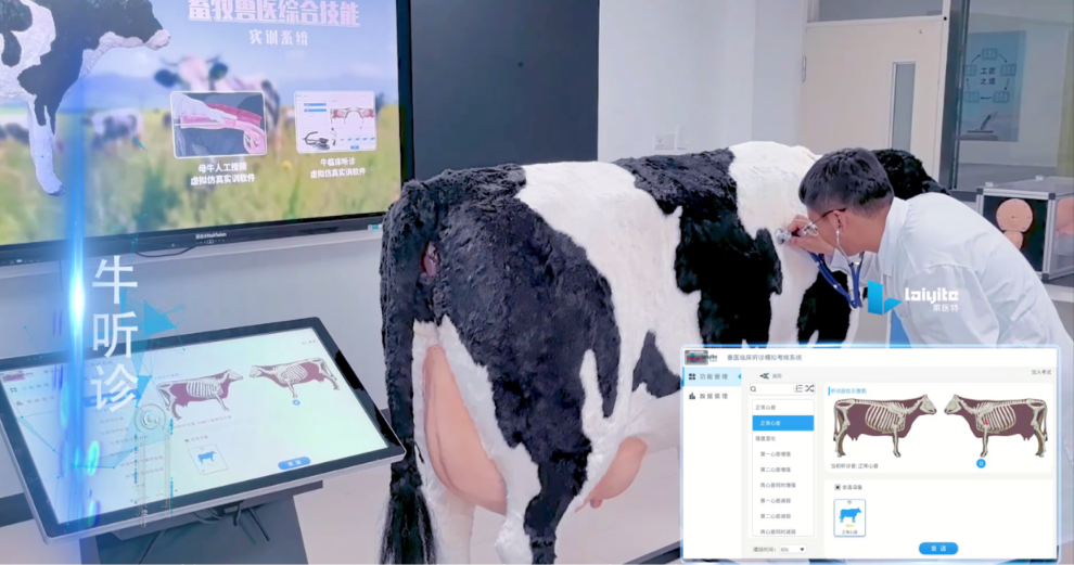 牛临床听诊智能实训设备