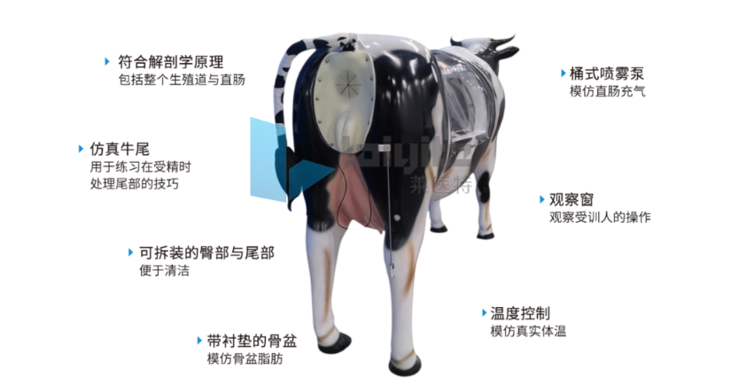 牛人工授精智能实训设备（整牛版）