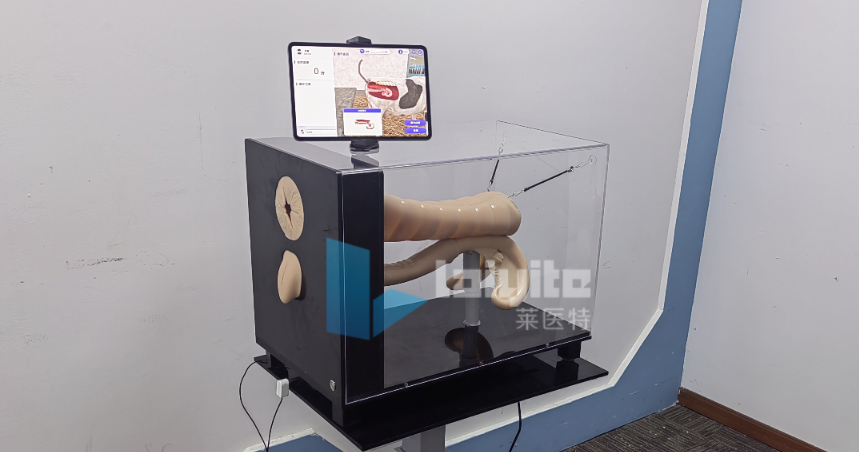 牛人工授精智能实训设备（便携版）