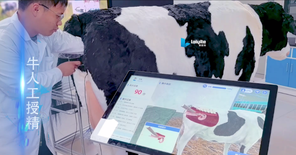 牛人工授精、发情鉴定、临床听诊与采血注射高集成智能实训设备