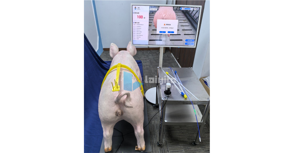 猪人工授精智能实训设备（整猪版）