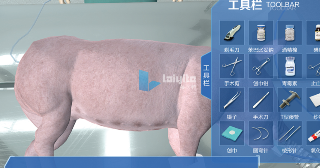 瘘管法测定猪回肠氨基酸消化率仿真实训系统