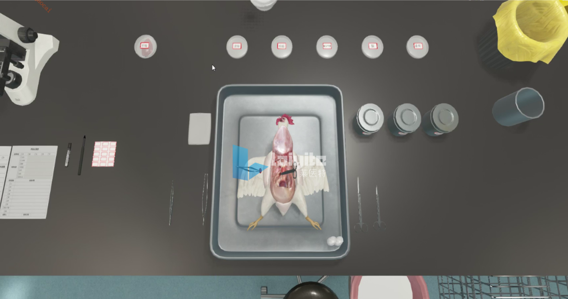 病鸡剖检仿真实训教学系统