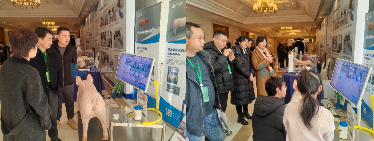 1739244691107988.png image.png