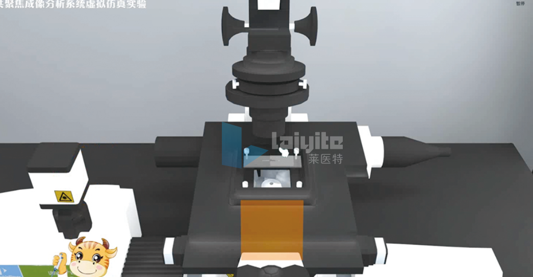 3D活细胞激光共聚焦成像分析系统虚拟仿真实验