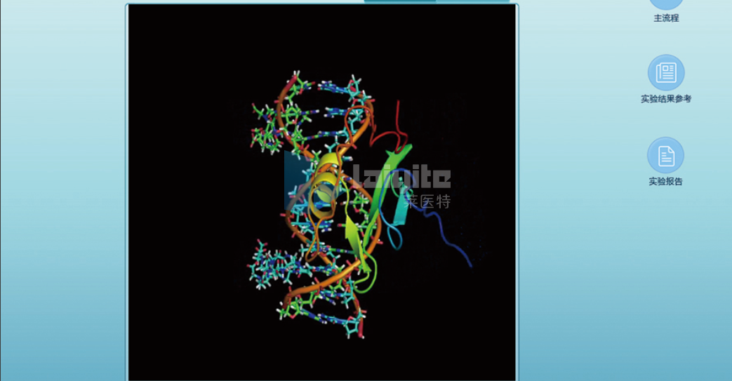蛋白质三级结构之同源模建虚拟仿真实验