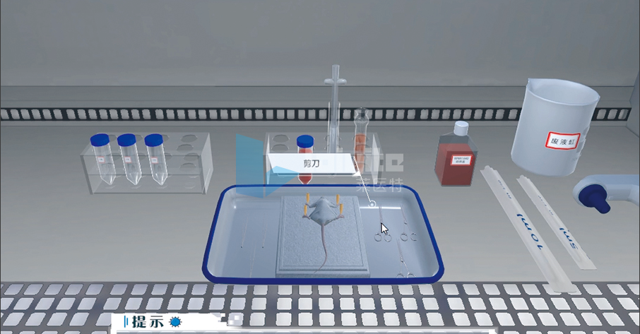 抗病毒单克隆抗体药物制备与应用虚拟仿真综合实验