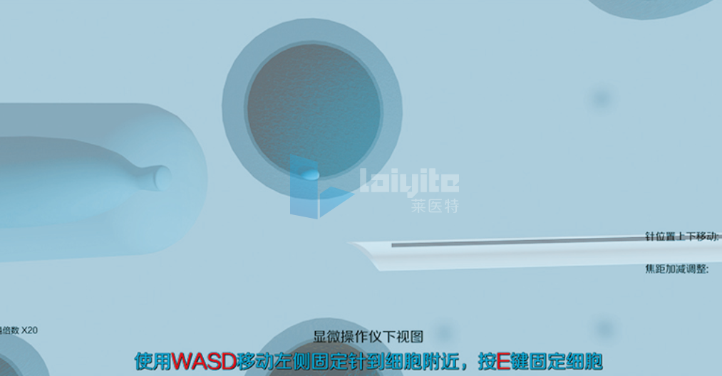 细胞核移植显微镜操作虚拟仿真实验