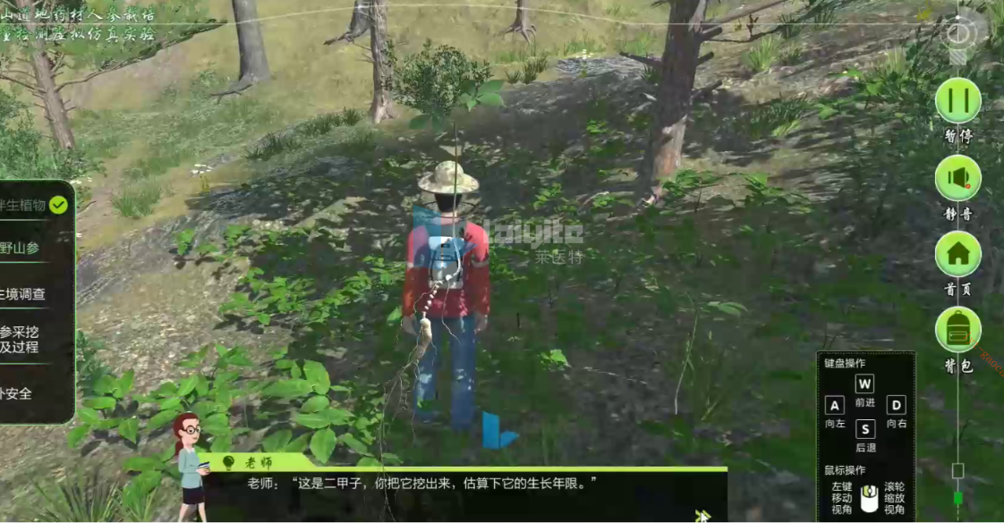 长白山道地药材人参栽培及质量检测虚拟仿真实验