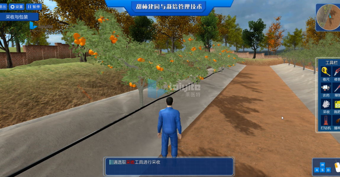 甜柿建园与栽培管理技术虚拟仿真实验