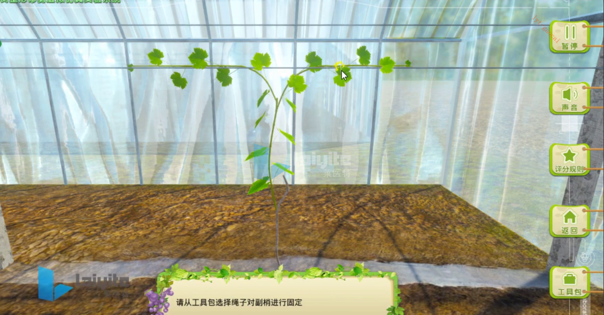 果树整形修剪虚拟仿真实验