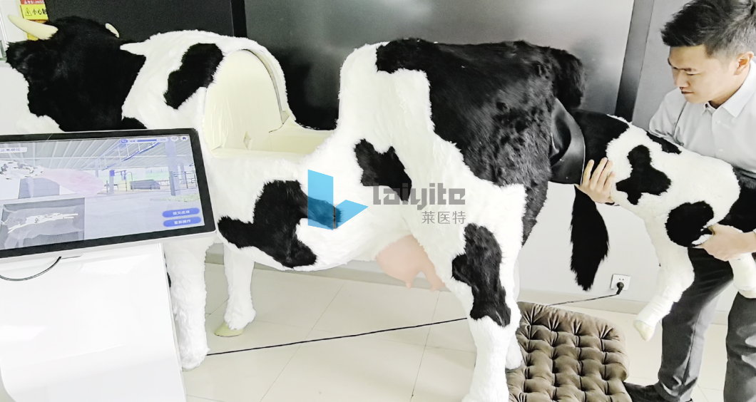 牛常规接产与难产助产智能实训设备