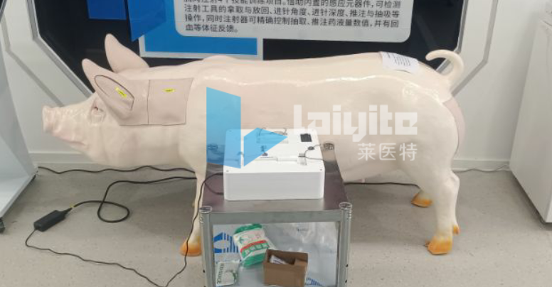 猪多部位注射与采血智能实训设备