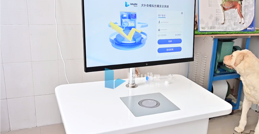 犬针灸智能实训设备