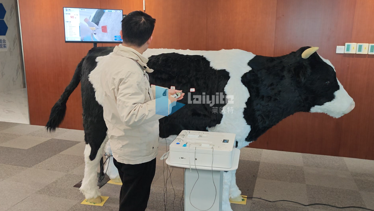 牛穿刺多技能综合智能实训设备